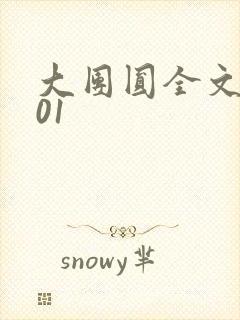 大团圆全文阅读01封面