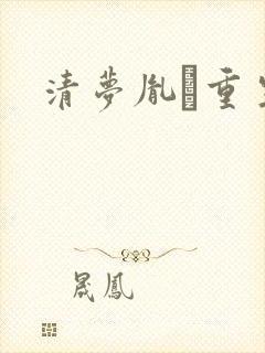 清梦胤礽重生封面