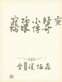 宠物小精灵之写轮眼传奇封面