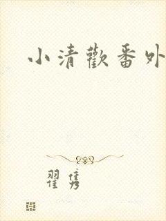 小清欢番外封面