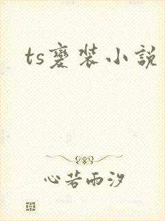 ts变装小说
