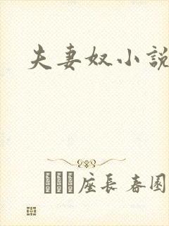 夫妻奴小说封面