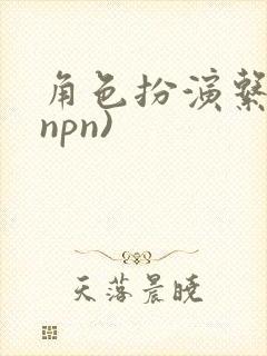 角色扮演系统(npn)封面