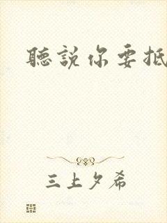 听说你要抵抗我封面