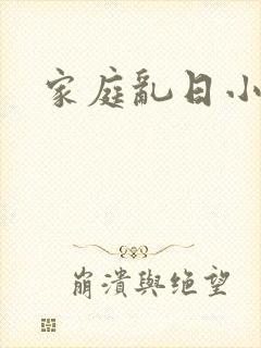 家庭乱日小说