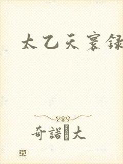 太乙天寰录封面