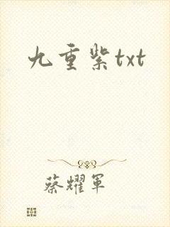 九重紫txt封面