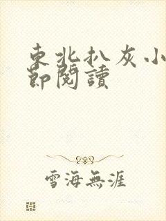 东北扒灰小说分节阅读