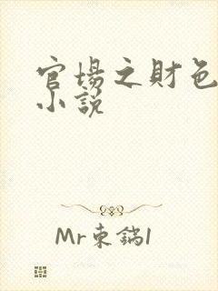 官场之财色诱人小说