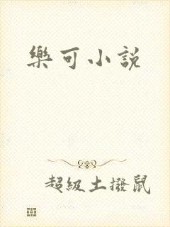乐可小说