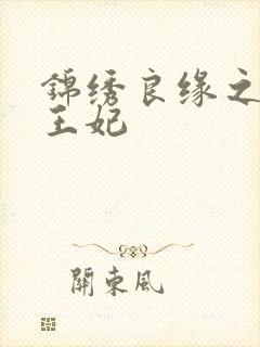 锦绣良缘之北地王妃