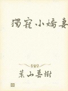 独宠小娇妻