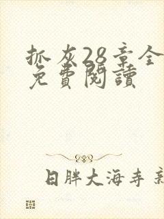 抓灰28章全部免费阅读