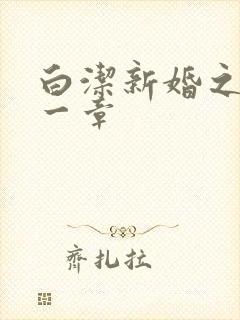 白洁新婚之夜第一章