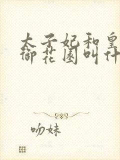 太子妃和皇帝在御花园叫什么小说