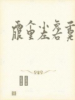 两个小兔子在衣服里左右晃封面