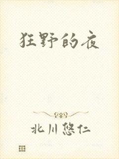 狂野的夜