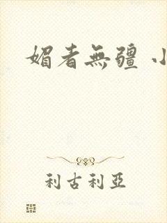 媚者无疆 小说封面