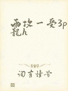 两攻一受3p双龙h