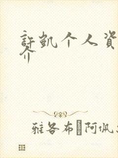 许凯个人资料简介