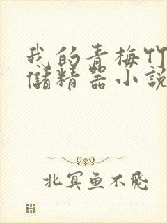 我的青梅竹马是储精器小说封面