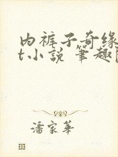 内裤子奇缘txt小说 笔趣阁