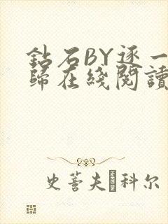 钻石BY逐一而归在线阅读