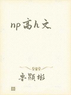 np高h文