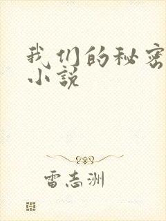 我们的秘密泰剧小说
