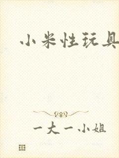 小米性玩具日记