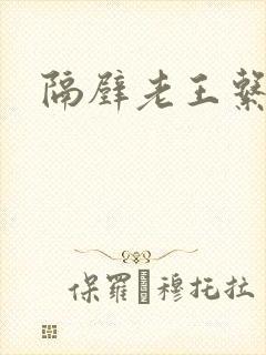 隔壁老王系统封面