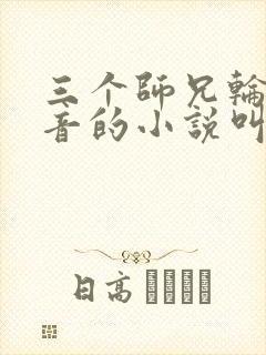 三个师兄轮流上音的小说叫什么封面