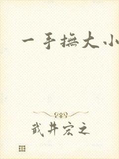 一手抚大小说封面