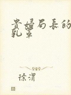 贵妇局长的蕾丝乳罩封面