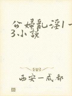公妇乱淫1一13小说封面