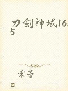 刀剑神域16.5