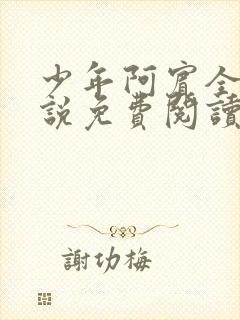 少年阿宾全文小说免费阅读笔趣阁