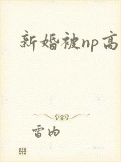 新婚被np高h封面