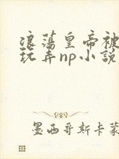 浪荡皇帝被多人玩弄np小说