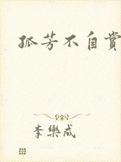 孤芳不自赏小说