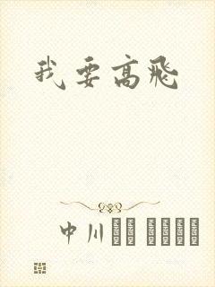 我要高飞封面