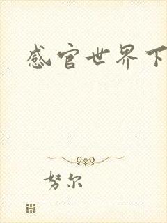 感官世界下载