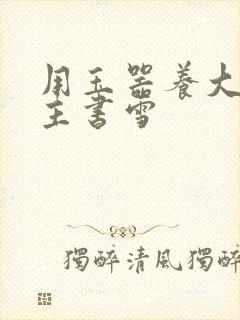 用玉器养大的公主书雪