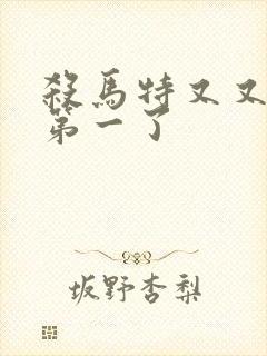 杀马特又又又考第一了封面