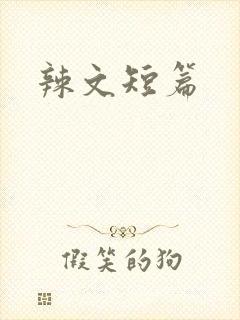 辣文短篇