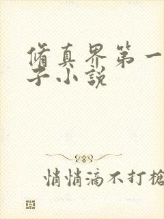 修真界第一病秧子小说