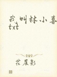 我叫林小喜小说txt