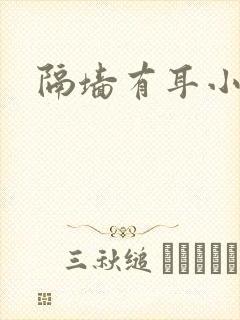 隔墙有耳小说封面