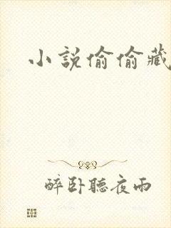 小说偷偷藏不住