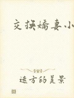 交换娇妻小说封面